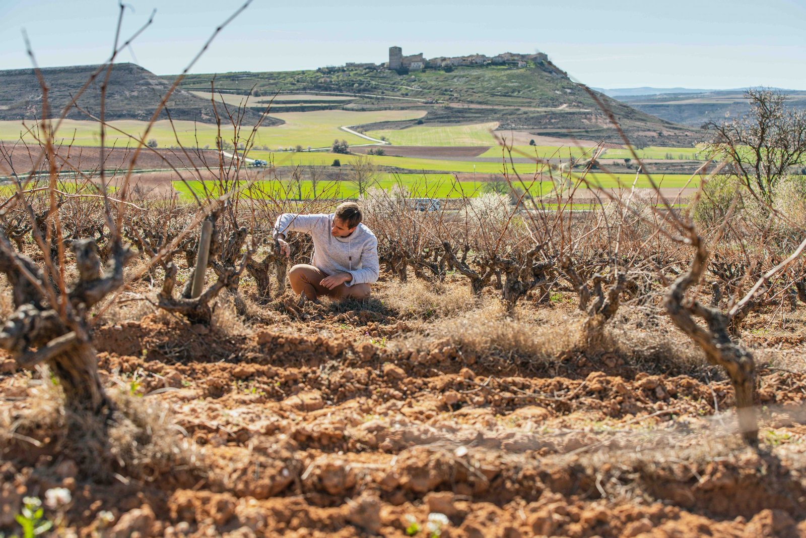 Fuentecén, tradición en el mundo del vino