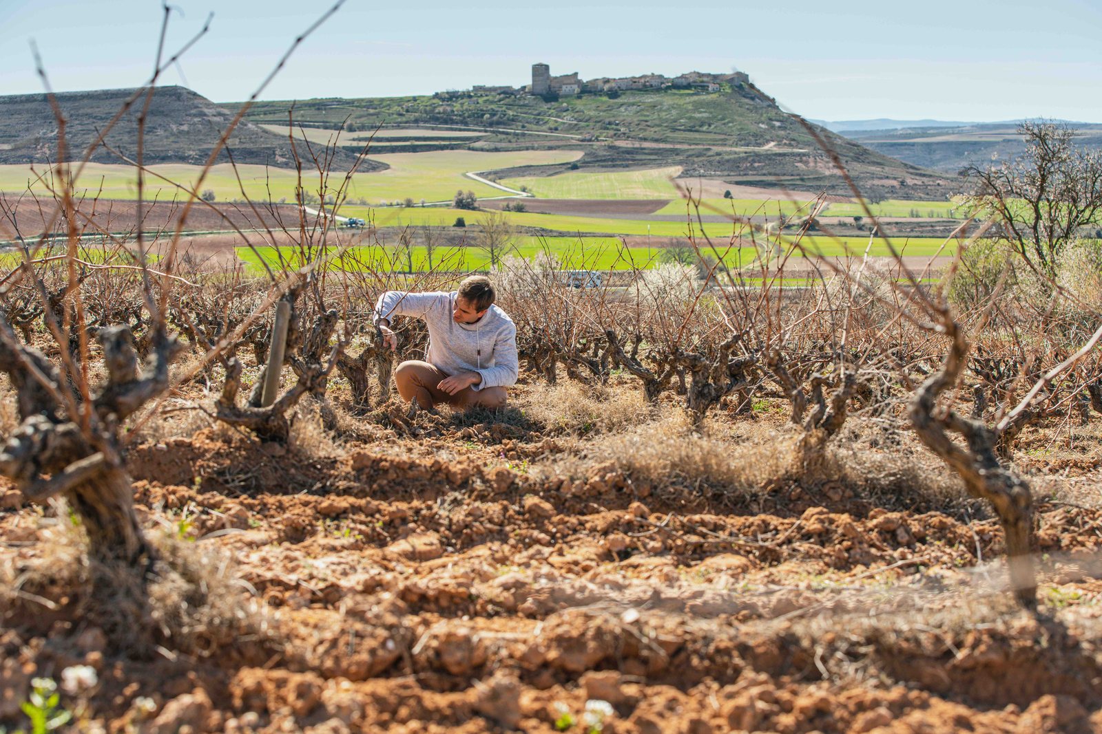 Fuentecén, world of wine