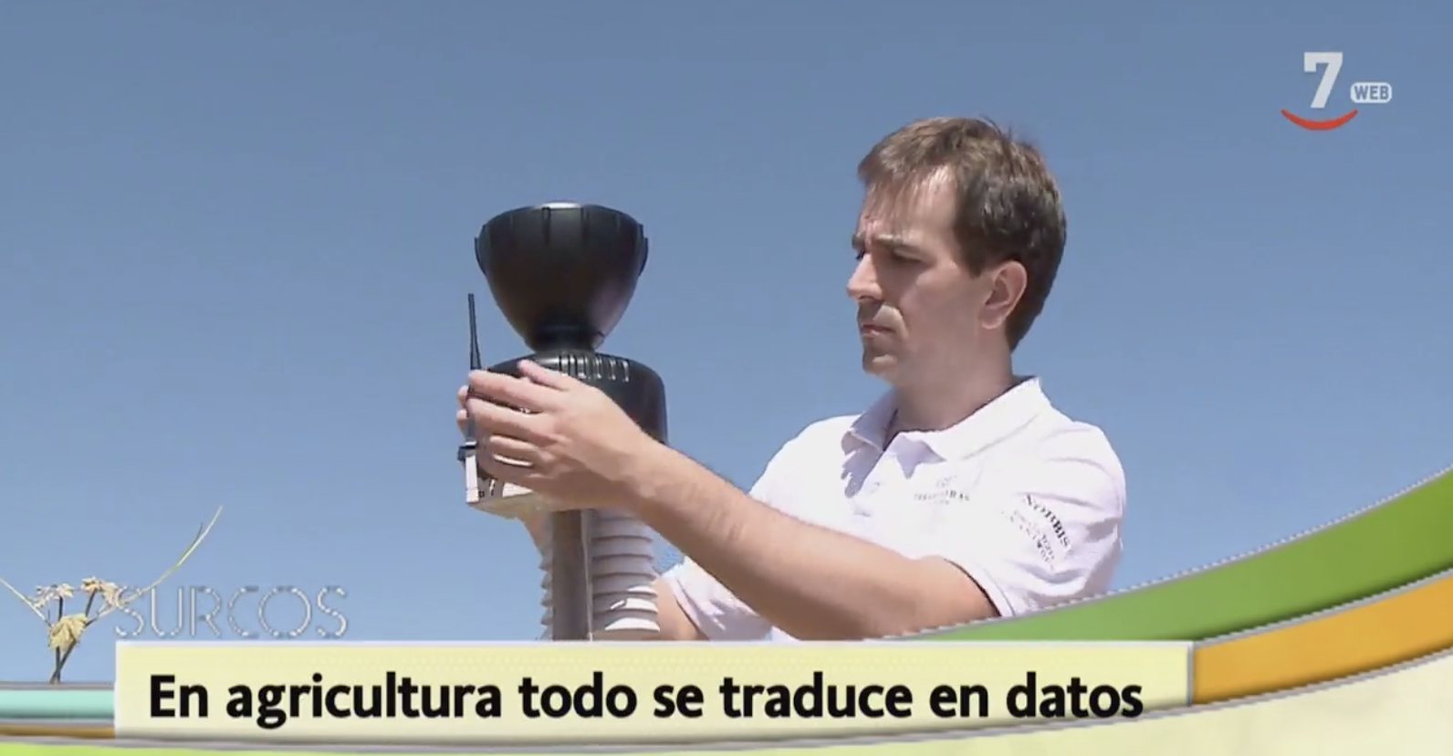 Granizo en el viñedo medidas posteriores