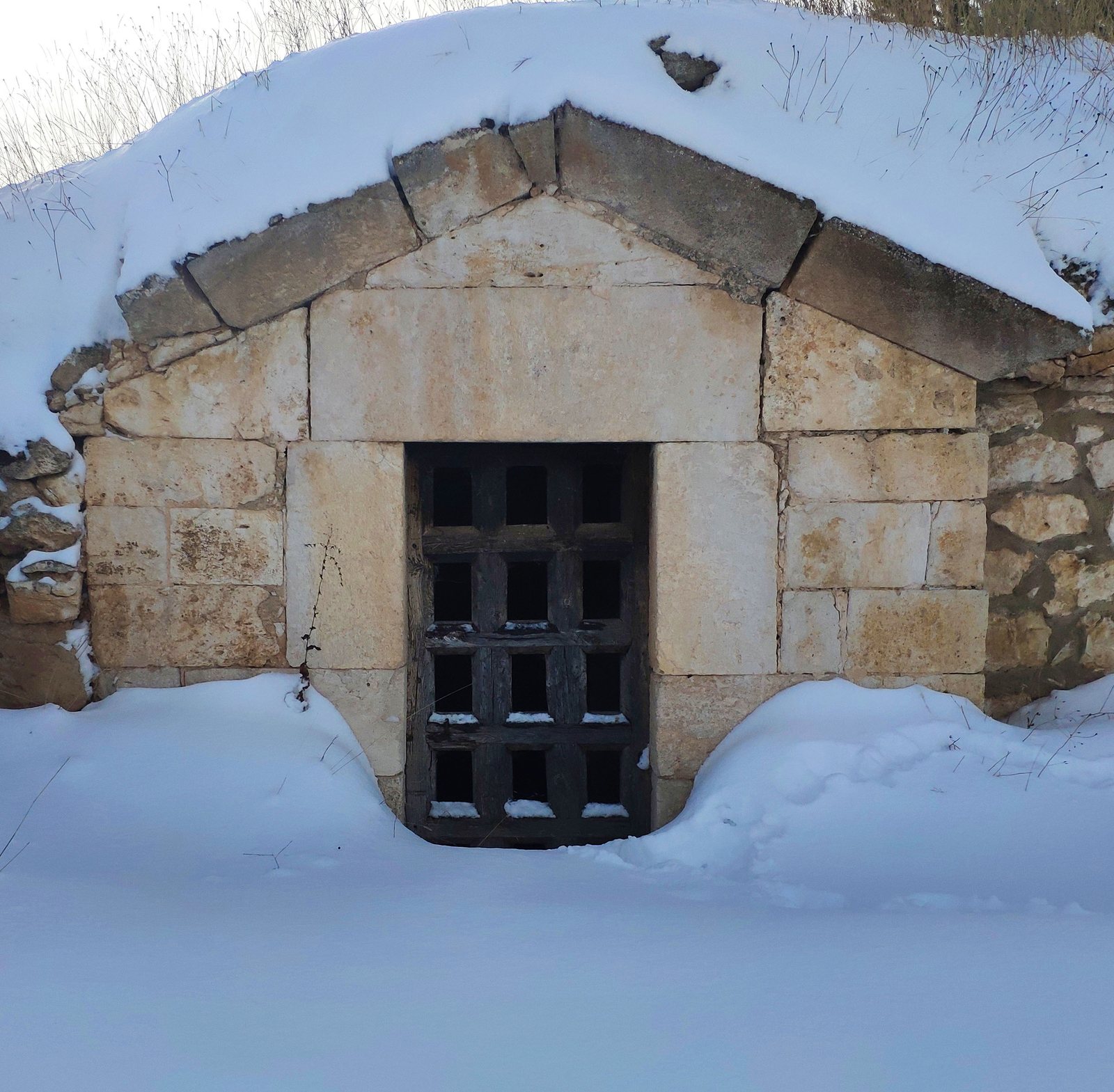Foto zum Artikel «Fotos verschneiter Weinberge»