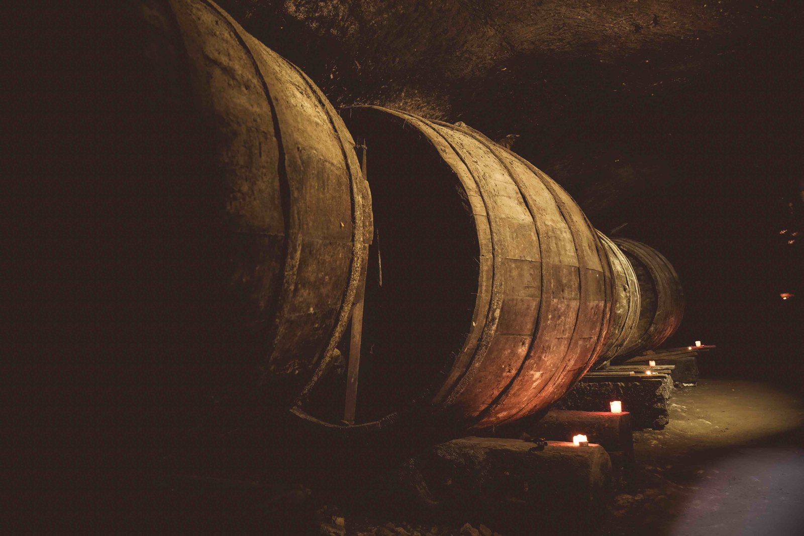 vendimia de la ribera del duero