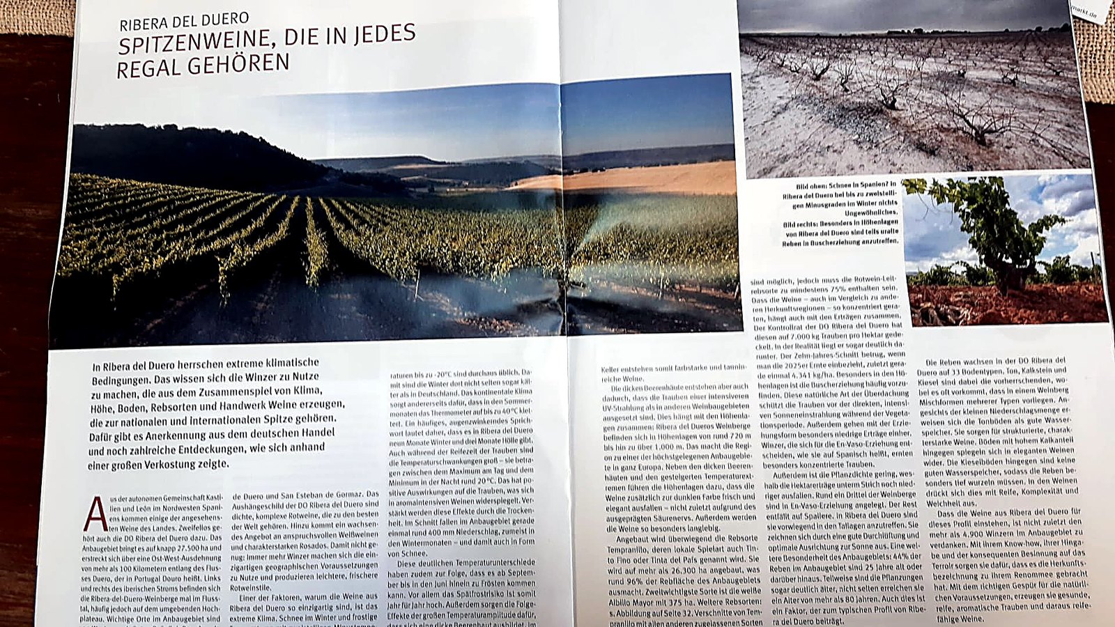 Opening pages of the special «Ribera del Duero: top wines that belong on every shelf»
